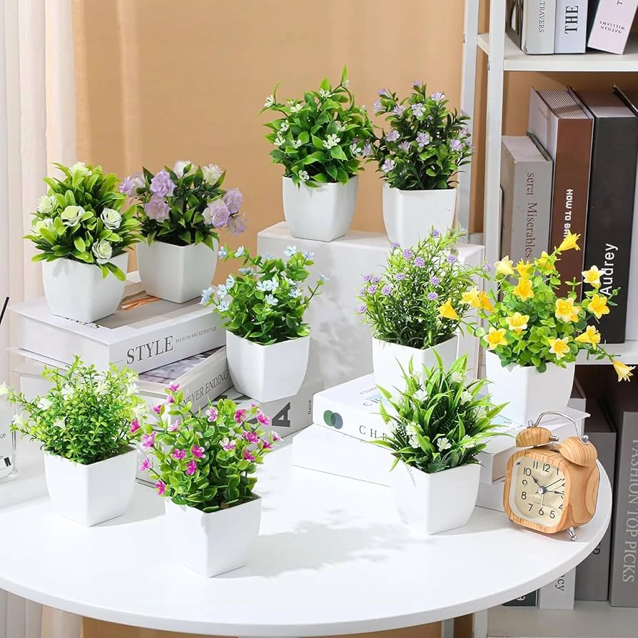 Indoor Plant with Decorative Pot