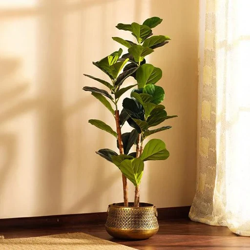 Artificial Indoor Plant
